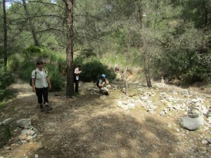 IMG_5819 (Medium)